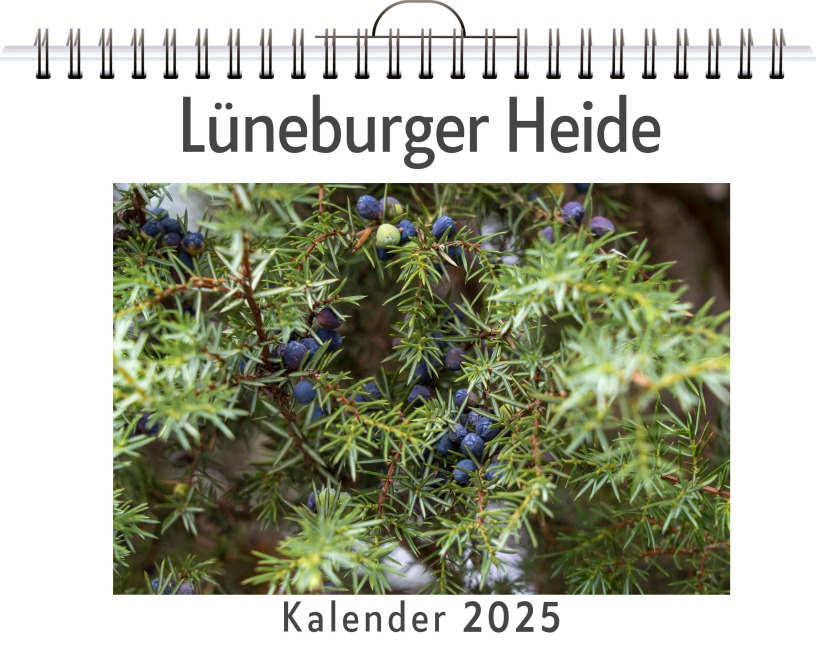 Lüneburger Heide - (Wandkalender 2025, Kalender DIN A4 quer, Monatskalender im Querformat mit Kalendarium, das perfekte Geschenk) - Luisa Werner
