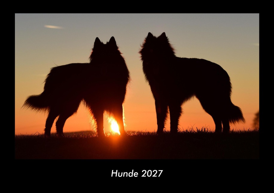 Hunde 2027 Fotokalender DIN A3 - Tobias Becker
