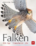 Cover-Bild zum Titel 'Falken' von 'Michael Lohmann'