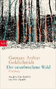 Cover-Bild zum Titel 'Der unterbrochene Wald' von 'Georges-Arthur Goldschmidt'