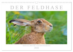 Cover-Bild zum Titel 'Der Feldhase (Wandkalender 2026 DIN A3 quer), CALVENDO Monatskalender' von 'Michael Breuer'