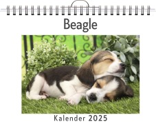 Cover-Bild zum Titel 'Beagle' von 'Sarah Weber'