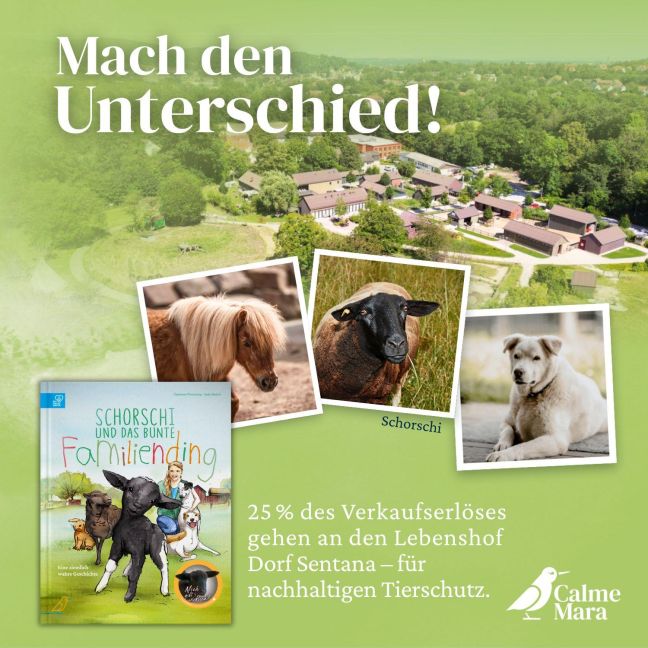 InsideView 4