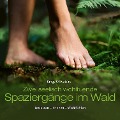 Spaziergänge Im Wald - 