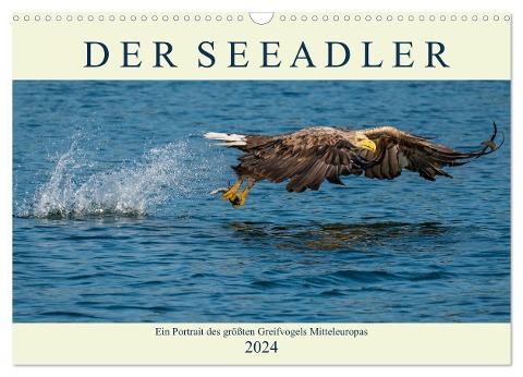 DER SEEADLER Ein Portrait des größten Greifvogels Mitteleuropas (Wandkalender 2024 DIN A3 quer), CALVENDO Monatskalender - Arne Wünsche