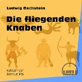 Cover-Bild zum Titel 'Die fliegenden Knaben' von 'Ludwig Bechstein'