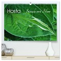 Hosta Staude mit Herz (hochwertiger Premium Wandkalender 2024 DIN A2 quer), Kunstdruck in Hochglanz - Jutta Heußlein