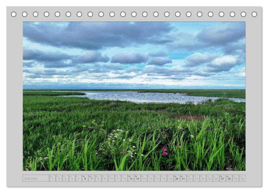 InsideView 11
