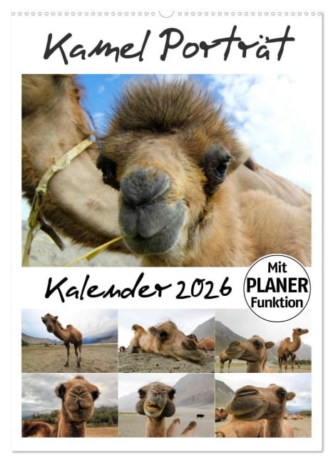 Kamel Porträt (Wandkalender 2026 DIN A2 hoch), CALVENDO Monatskalender - Sven Gruse
