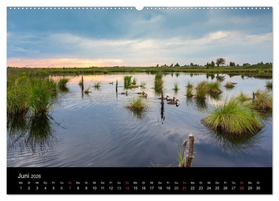 InsideView 10