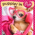 Puppies in Pink 2025 12 X 24 Inch Monthly Square Wall Calendar Plastic-Free - Browntrout