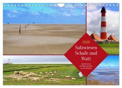 Cover-Bild zum Titel 'Salzwiesen, Schafe und Watt - Westerhever, ein Naturparadies an der Nordsee (Wandkalender 2026 DIN A4 quer), CALVENDO Monatskalender' von 'Michaela Schimmack'