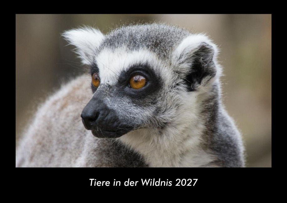 Tiere in der Wildnis 2027 Fotokalender DIN A3 - Tobias Becker