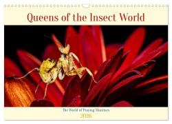 Cover-Bild zum Titel 'Queens of the Insect World (Wall Calendar 2026 DIN A3 landscape), CALVENDO 12 Month Wall Calendar' von 'Roland Brack'