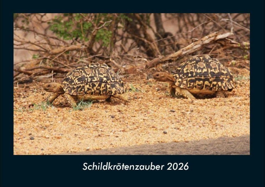 Schildkrötenzauber 2026 Fotokalender DIN A4 - Tobias Becker