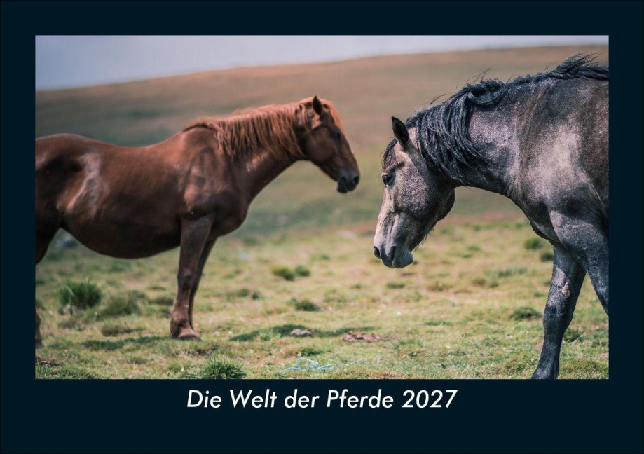 Die Welt der Pferde 2027 Fotokalender DIN A5 - Tobias Schmitt, Kevin Heber