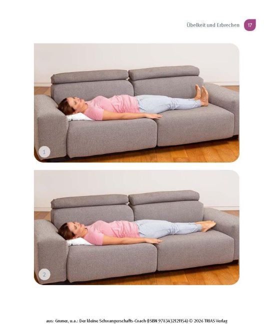 InsideView 12