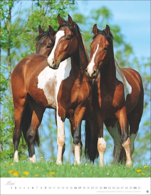 InsideView 5