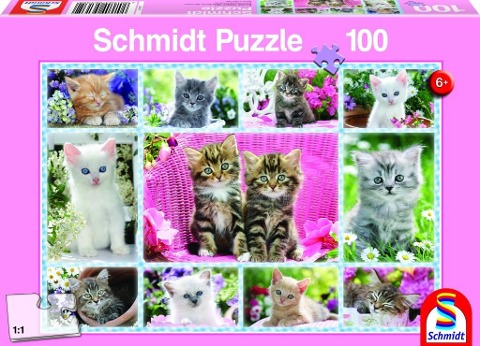 Katzenbabies. Puzzle 100 Teile - 