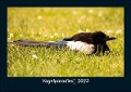 Vogelparadies 2023 Fotokalender DIN A5 - Tobias Becker