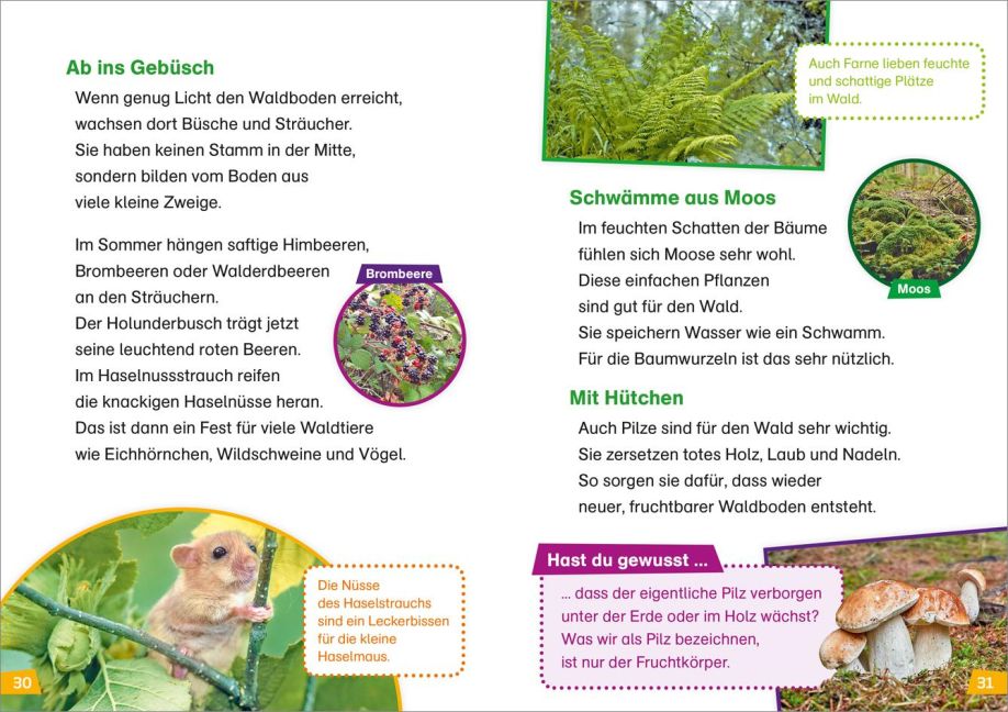 InsideView 4
