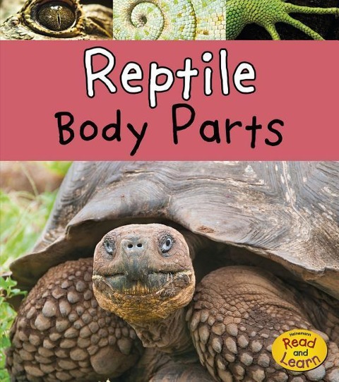 Reptile Body Parts - Clare Lewis