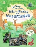 Cover-Bild zum Titel 'Geh hinaus und entdecke. Tiere und Pflanzen beim Waldspaziergang' von 'Friederun Reichenstetter'
