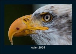 Cover-Bild zum Titel 'Adler 2026 Fotokalender DIN A5' von 'Tobias Becker'