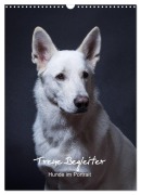 Cover-Bild zum Titel 'Treue Wegbegleiter, Hunde im Portrait. (Wandkalender 2026 DIN A3 hoch), CALVENDO Monatskalender' von 'Susanne Stark'