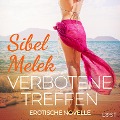 Cover-Bild zum Titel 'Verbotene Treffen - Erotische Novelle' von 'Sibel Melek'