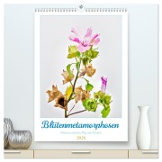 Blütenmetamorphosen (hochwertiger Premium Wandkalender 2026 DIN A2 hoch), Kunstdruck in Hochglanz - Clemens Stenner