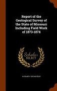 Cover-Bild zum Titel 'Report of the Geological Survey of the State of Missouri Including Field Work of 1873-1874' von 'Garland C. Broadhead'