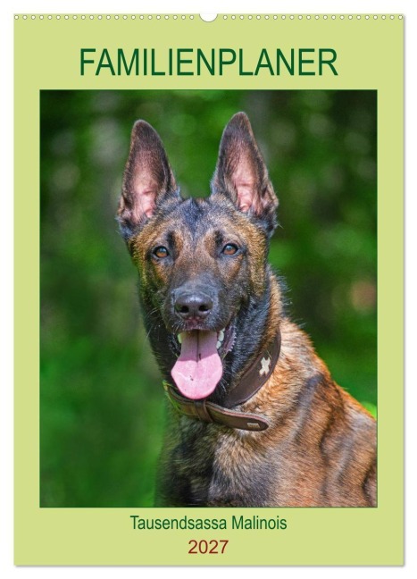 Familienplaner Tausendsassa Malinois (Wandkalender 2027 DIN A2 hoch), CALVENDO Monatskalender - Sigrid Starick