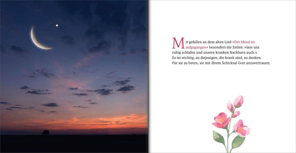 InsideView 8