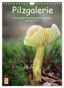 Pilzgalerie - Faszinierende Pilzaufnahmen aus der Region Rheinland-Pfalz (Wandkalender 2025 DIN A4 hoch), CALVENDO Monatskalender - Beate Wurster