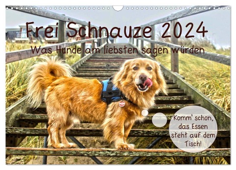 Frei Schnauze 2024. Was Hunde am liebsten sagen würden (Wandkalender 2024 DIN A3 quer), CALVENDO Monatskalender - Steffani Lehmann (Hrsg.