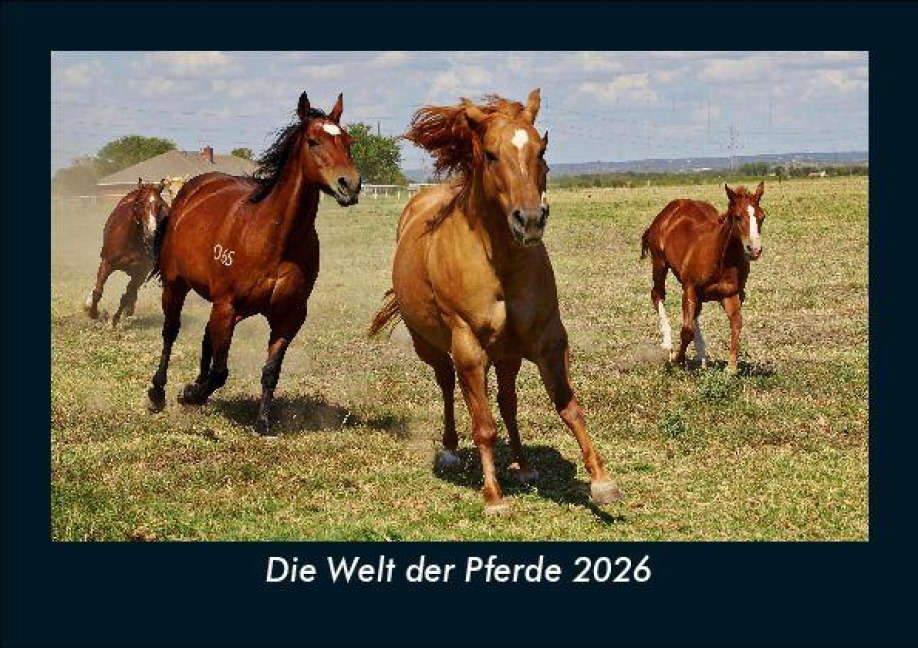Die Welt der Pferde 2026 Fotokalender DIN A5 - Tobias Becker
