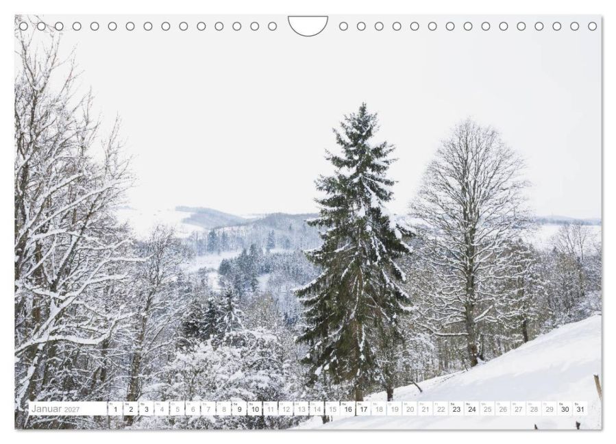 InsideView 6