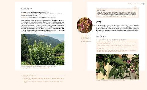 InsideView 5