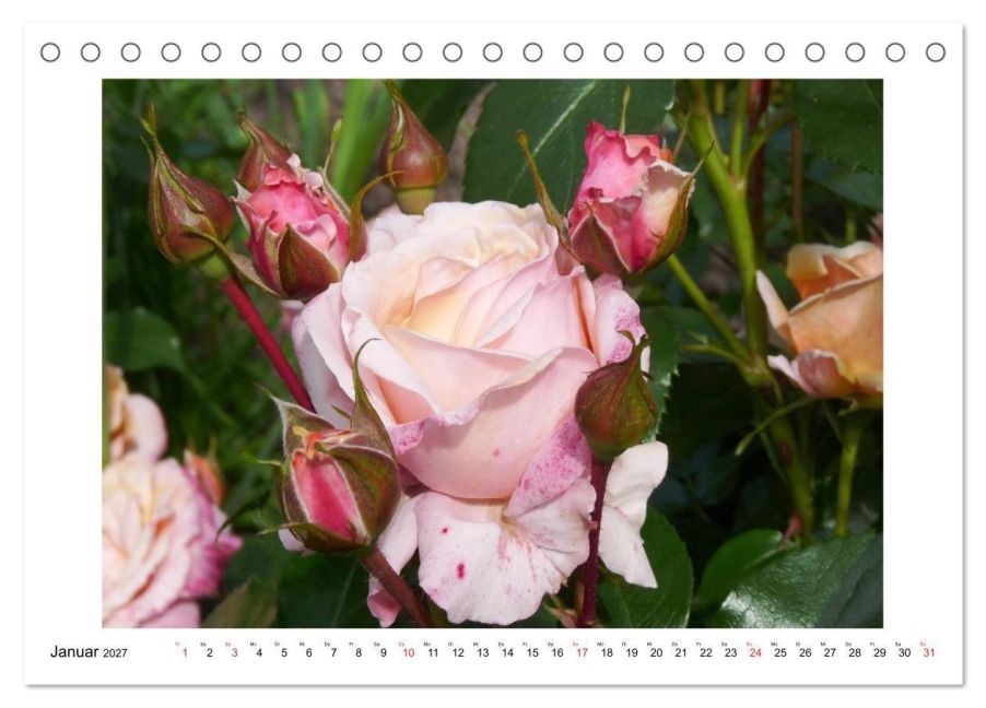 InsideView 6