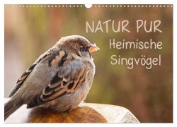 Cover-Bild zum Titel 'NATUR PUR Heimische Singvögel (Wandkalender 2026 DIN A3 quer), CALVENDO Monatskalender' von 'Karin Dietzel'