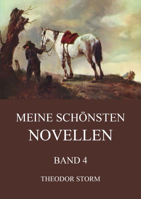 Meine schönsten Novellen, Band 4 - Theodor Storm