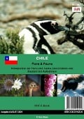Cover-Bild zum Titel 'Chile' von 'Alois Meier'