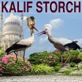 Kalif Storch - Wilhelm Hauff, Manfred Zazzi