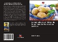 Cover-Bild zum Titel 'La maladie du mildiou de la pomme de terre et sa gestion' von 'Sahar Murmu'