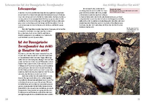 InsideView 2