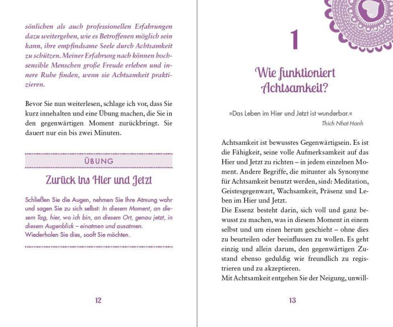 InsideView 2