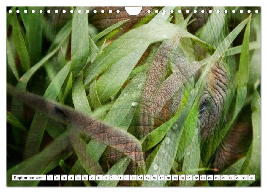 InsideView 14