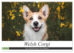 Cover-Bild zum Titel 'Welsh Corgi - Der Kobold unter den Hunden (Wandkalender 2026 DIN A2 quer), CALVENDO Monatskalender' von 'Maria Ahrens'