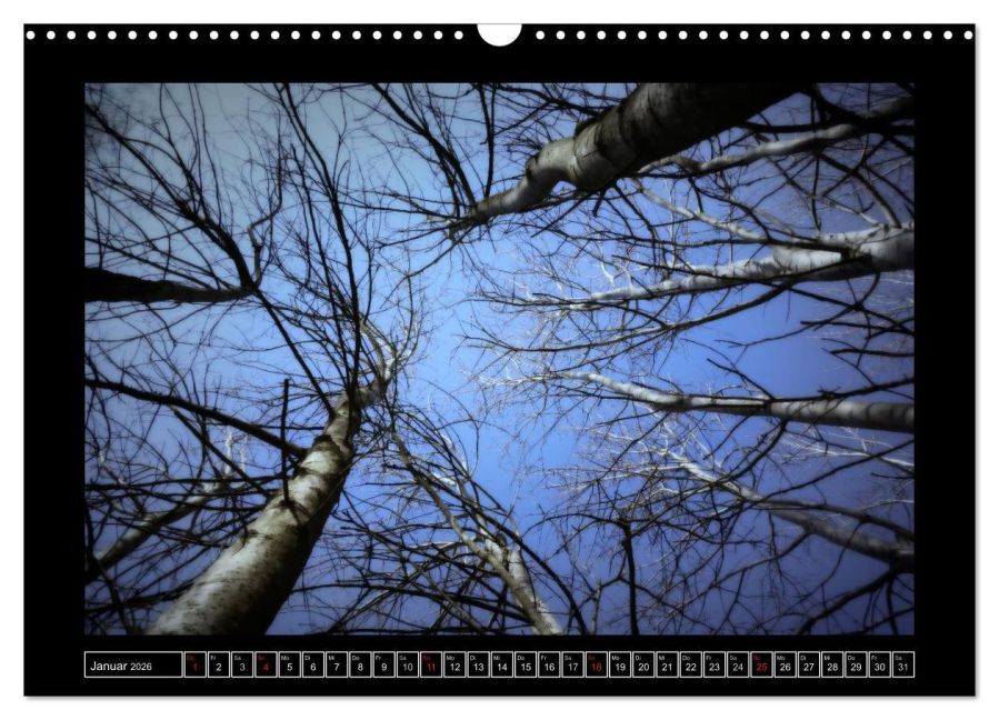 InsideView 6